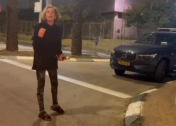 צילום מסך מתוך הסרטון כפי שפורסם ב-X של דניאל עמרם. צילום: דניאל עמרם איך הגענו למצב בו תל אביבית צועקת על חייל "הרסתם את המדינה"?