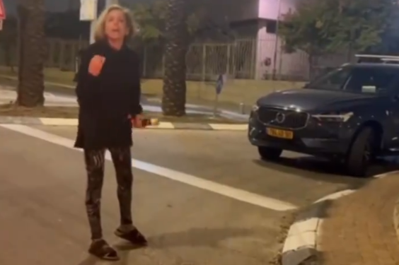 צילום מסך מתוך הסרטון כפי שפורסם ב-X של דניאל עמרם. צילום: דניאל עמרם איך הגענו למצב בו תל אביבית צועקת על חייל "הרסתם את המדינה"?