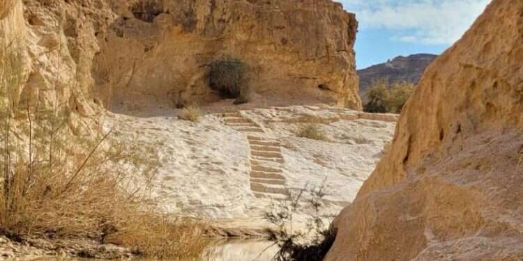 עין ירקעם לאחר שהתמלא במי שיטפונות. צילום: ג׳מיל אטרש - רשות הטבע והגנים