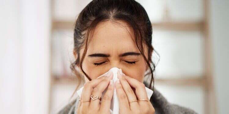 כל מה שצריך לדעת על שפעת: מה הטיפול הכי טוב והאם צריך להתחסן