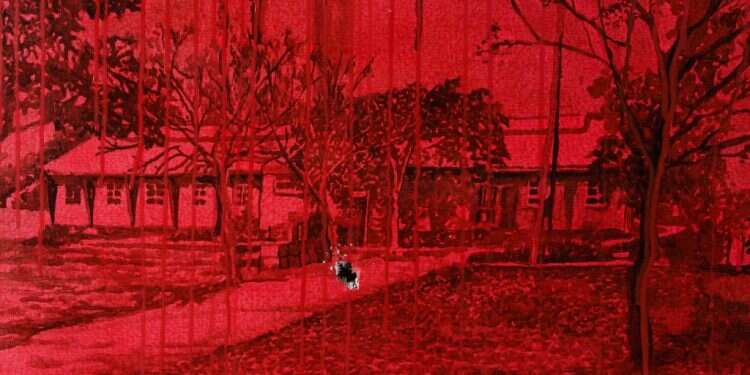 פגיעות הירי נראות בציור. זיוה ילין,