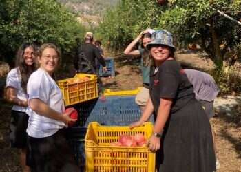 השנה של חניכי המכינות: פונו מהצפון והדרום – גויסו למשימות סיוע