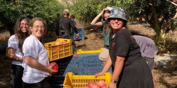 חניכות מכינת השנה של חניכי המכינות: פונו מהצפון והדרום – גויסו למשימות סיוע