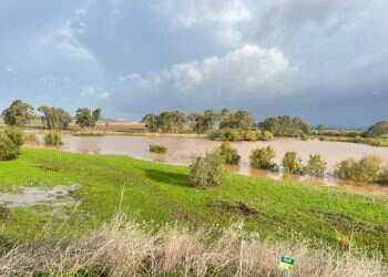 שמורת הטבע עין אפק, צילום פאדי דעבוס רשות הטבע והגנים זרימות מרהיבות, זינוק אדיר במפלס הכנרת | צפו