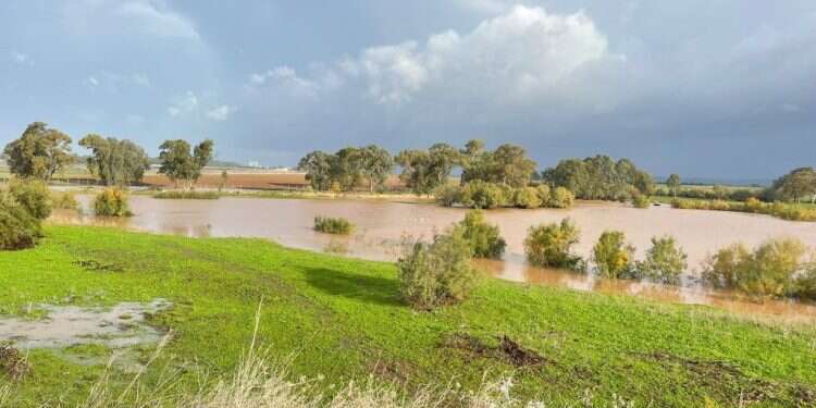 שמורת הטבע עין אפק, צילום פאדי דעבוס רשות הטבע והגנים זרימות מרהיבות, זינוק אדיר במפלס הכנרת | צפו