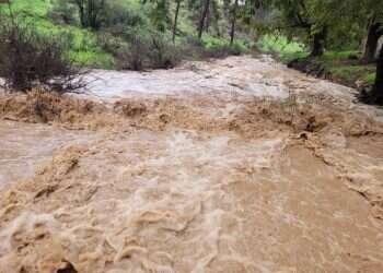 זרימות מרהיבות, זינוק אדיר במפלס הכנרת | צפו