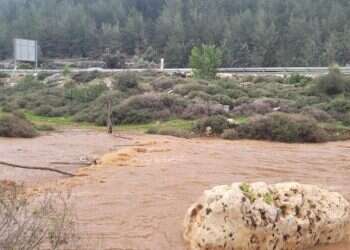 זרימות מרהיבות, זינוק אדיר במפלס הכנרת | צפו