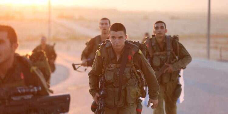 טל לוי. צילום: באדיבות המשפחה טל לוי. צילום: באדיבות המשפחה