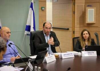 ח"כ שמחה רוטמן בדיון בוועדת החוקה