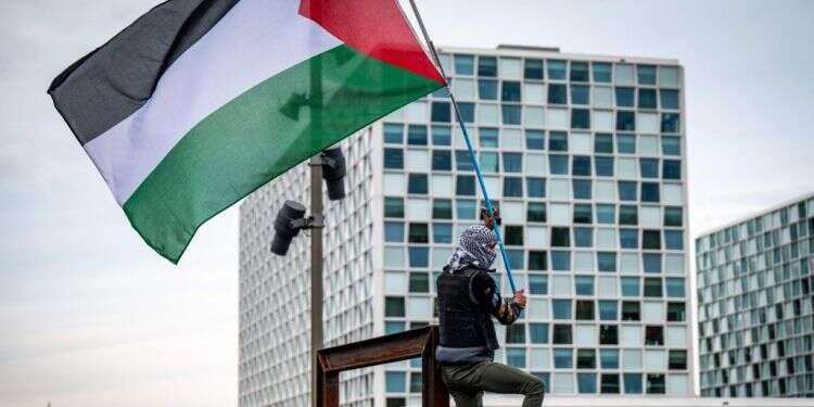 מפגין פרו-פלסטיני מניף דגל אש מפגין פרו-פלסטיני מניף דגל אש"ף מול בית הדין הפלילי הבינלאומי בהאג