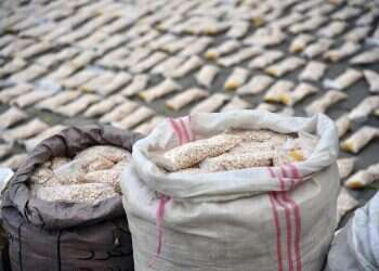 כדורי קפטגון שנלכדו בסוריה. צילום: איי.פי