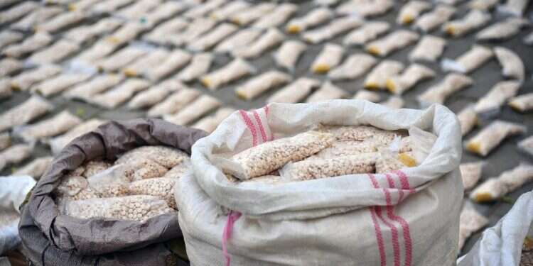 כדורי קפטגון שנלכדו בסוריה, ינואר 24'. צילום: איי.פי כדורי קפטגון שנלכדו בסוריה. צילום: איי.פי