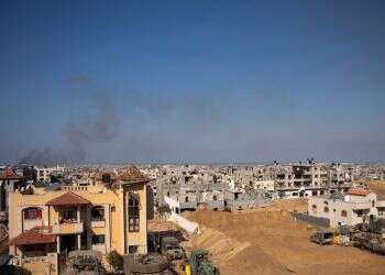 צילום: דו צילום: דו"צ