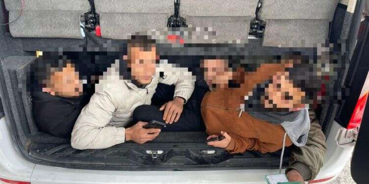 שב"חים שנעצרו בניסיון להיכנס לישראל