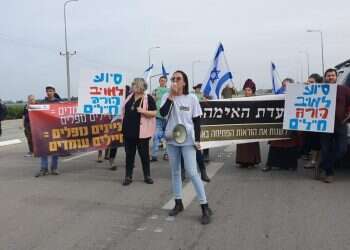 צעדת האמהות "ההנהגה הורידה הילוך וזה פועל לרעתנו": אמהות החיילים בזעקה