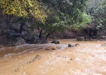 זרימה חזקה נחל דישון חורף שיטפון