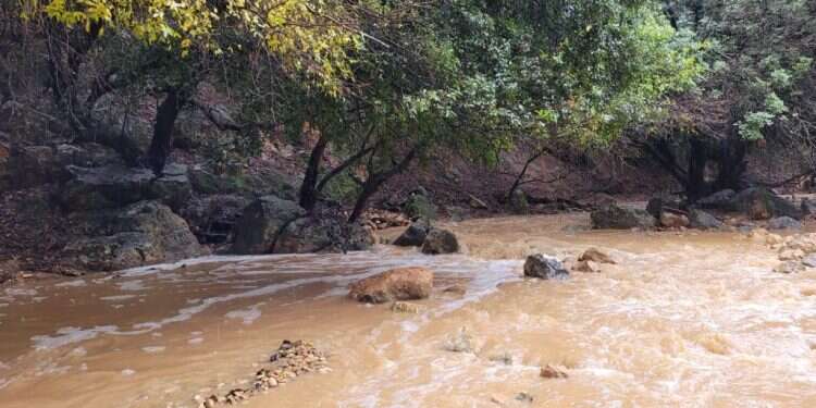זרימה חזקה נחל דישון חורף שיטפון
