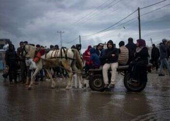 עשרות אלפים מתפנים מחאן יונס וחיסולים בלבנון: סיכום חדשות השבת