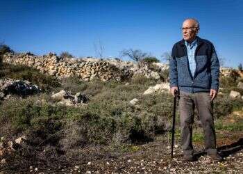 פנחס ולרשטיין. צילום: אריק סולטן