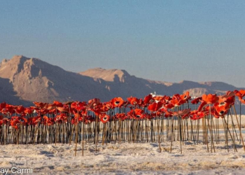 מתוך הכאב: התגובה של עולם האמנות לשבעה באוקטובר