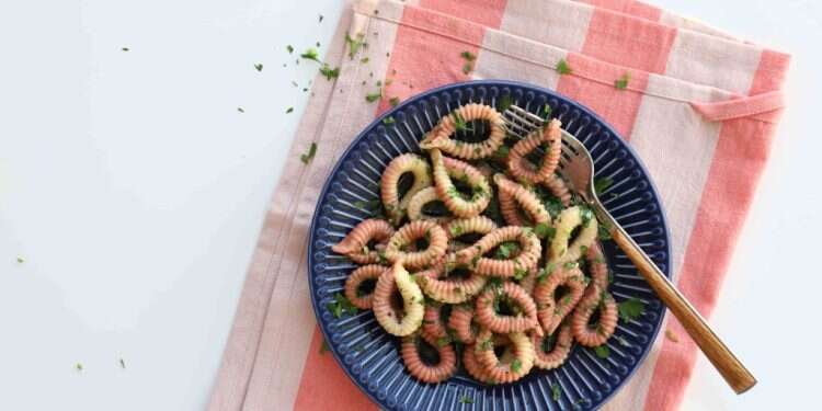 ספיזולוס. צילום: אפרת ליכטנשטט ספיזולוס. צילום: אפרת ליכטנשטט