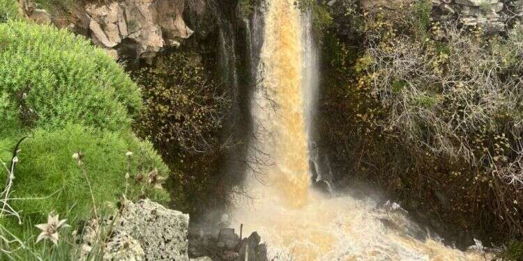 מפל עיט בדרום רמת הגולן בשיא הזרימה. צילום: מזי מוסקוביץ', רשות הטבע והגנים מפל עיט זרימה מפלים נחלים חורף גשם שיטפון
