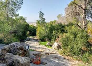 סימון השביל. צילום: איציק בן דב, החברה להגנת הטבע