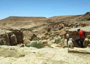 טיולי חורף לכל המשפחה: מצפה רמון והמכתש