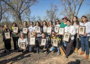 מצדיעים בשבילן