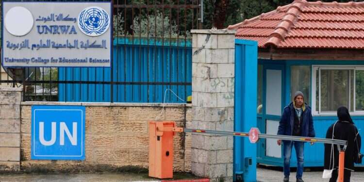 זו לא בדיחה: אונר"א מועמדת לפרס נובל לשלום