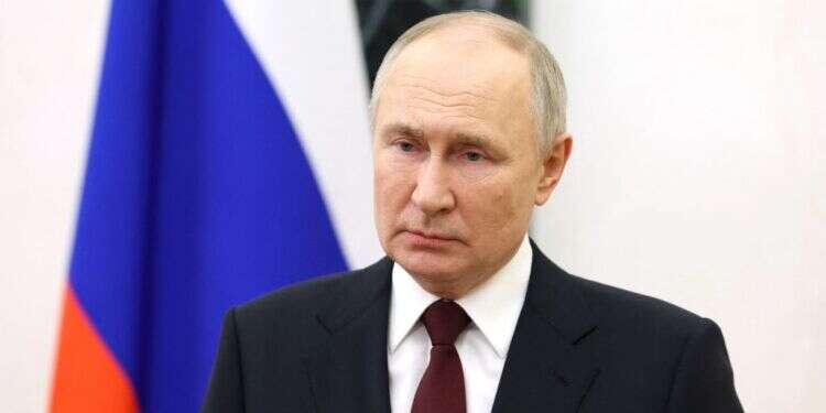 נשיא רוסיה, ולדימיר פוטין. צילום: איי.אף.פי ולדימיר פוטין. צילום: איי.אף.פי