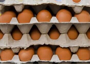 מומחים עונים: האם ההבדל בגודל הביצים בסופר באמת משנה