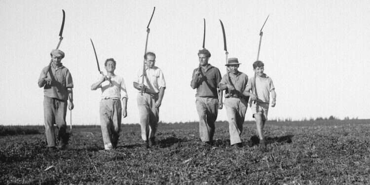 האחריות העיקרית מוטלת על ציבור הפועלים הסוציאליסטים שבקרבם חי. חלוצים בדרכם לעבודה בשדות גבעת ברנר, 1937. צילום: זלוטן קלוגר, לע"מ