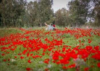 צילום: גרשון אלינסון, פלאש 90