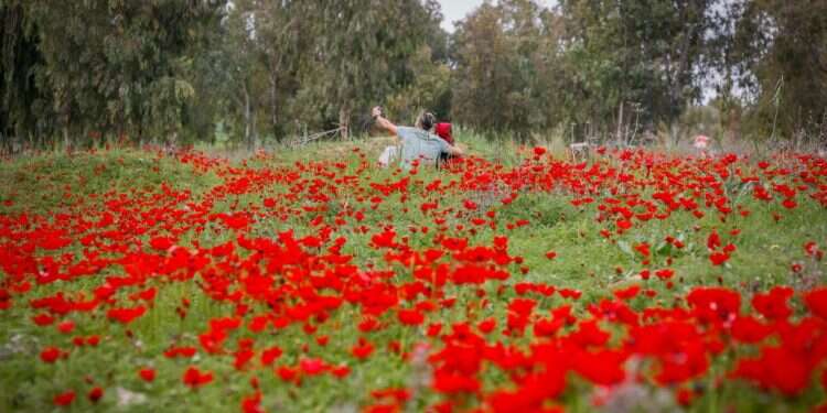 צילום: גרשון אלינסון, פלאש 90