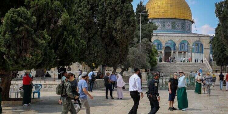 מבקרים ישראלים בהר הבית, אילוסטרציה. צילום: ג'מאל עואד, פלאש 90 הפרוטוקול הסודי שנחשף: "שהרב גורן יעבור לתל אביב – מה יש לו לעשות בהר הבית?"
