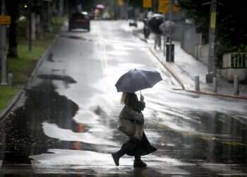 "רצף שלא היה מאז 1992": סיכום 14 ימי הגשם ששינו את החורף