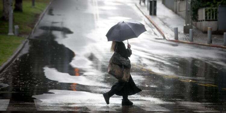 צילום: מרים אלסטר/פלאש90 "רצף שלא היה מאז 1992": סיכום 14 ימי הגשם ששינו את החורף