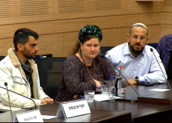 ינון וספיר לוי בוועדת הכלכלה בכנסת, בשבוע שעבר. צילום: מתוך אתר הכנסת