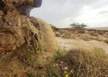 שיטפון בנחל צין, חורף תשפ"ד (2024)