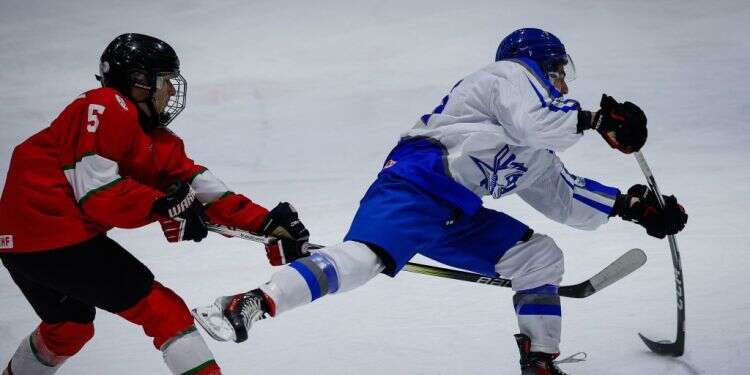 עמדנו במשימה. לוין באליפות העולם. צילום: באדיבות איגוד ההוקי ומייק לוין עמדנו במשימה. לוין באליפות העולם. צילום: באדיבות איגוד ההוקי ומייק לוין