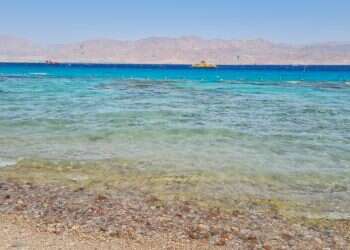 מסעדות, אטרקציות ומבצע משתלם במיוחד: מה שצריך לדעת על חופשה באילת