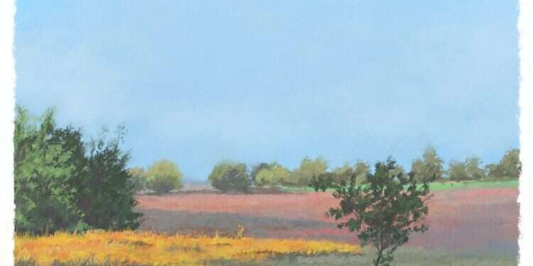 איור: מנחם הלברשטט