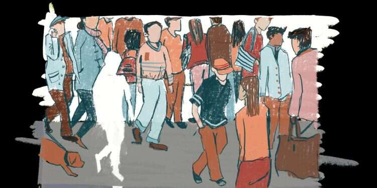 איור: דגנית רודובסקי איור: דגנית רודובסקי