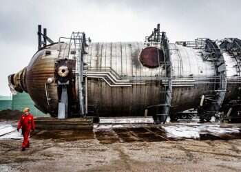 חשש ביפן: חתול שנפל למיכל כימיקלים מסוכנים – ברח ונעלם