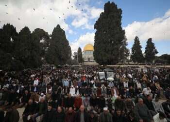 חיסול מחבלים ובכירים: יממה שנייה למבצע צה"ל בבית החולים שיפא