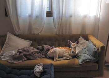 "איילה", צילום מטופל, הדפסת צבע על נייר ארכיוני, 2023, מתוך התערוכה.