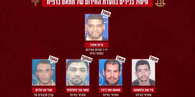 המחבלים שחוסלו. צילום: דובר צה צה"ל ושב"כ חיסלו בכירים בוועדות החירום של חמאס ברפיח