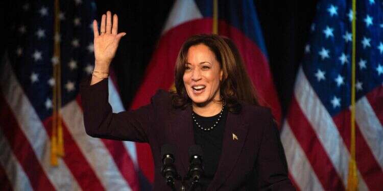 סגנית נשיא ארה קמלה האריס. צילום: איי.אף.פי