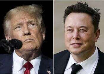 פוליטיקה ועסקים: הפגישות "הסודיות" של טראמפ ואילון מאסק